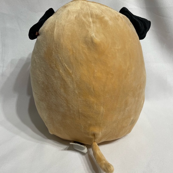 PAM the Pug Squishmallow 10” plush stuffed animal great condition - Picture 5 of 6